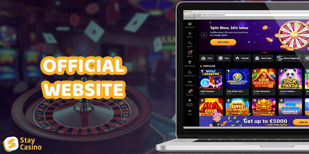 Stay Casino is a great platform for online gaming.